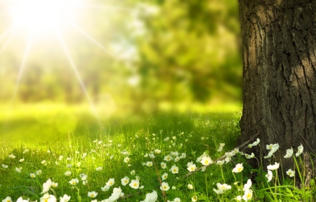 TypeScript高级类型实战指南